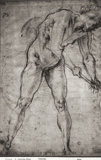 MAA F 006575