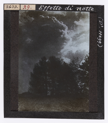 RGD S 000029 RGD S 000029