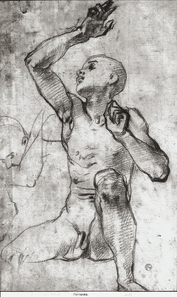 MAA F 006525