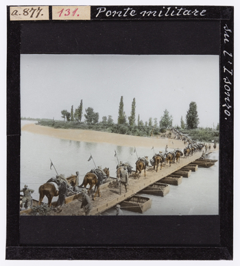 RGD S 000131 RGD S 000131