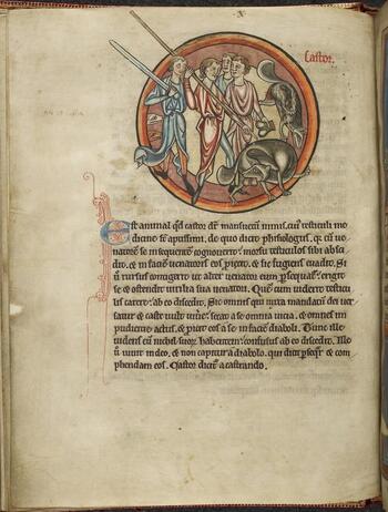 BLB F 025182