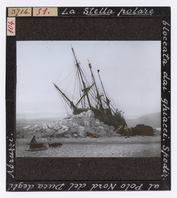 RGD S 000051 RGD S 000051