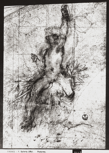 MAA F 006664
