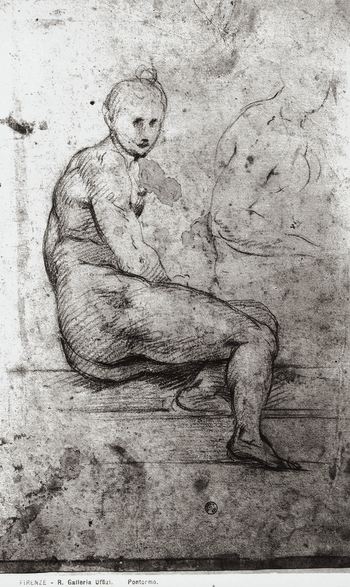 MAA F 006537