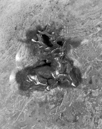 BEN F 014367