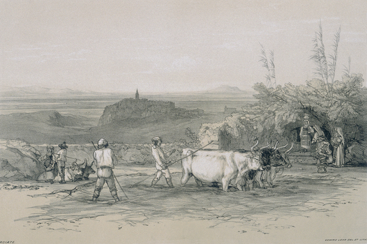 PDP A 00LEAR PDP A 00LEAR