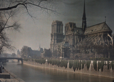 CHA F AU0903 CHA F AU0903