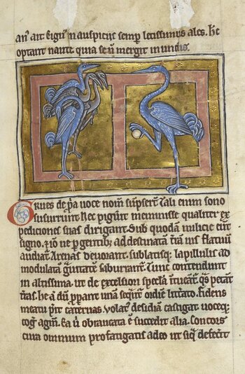 BLB S 2CXIXF BLB S 2CXIXF