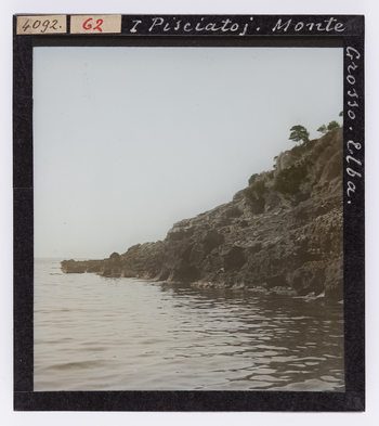 RGD S 000062 RGD S 000062