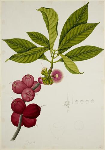 BLB F 030618