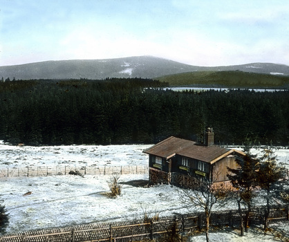 UIG F 030552
