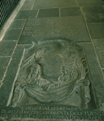 BEN F 012031