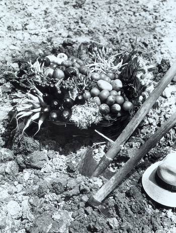 VAA F 002469 VAA F 002469