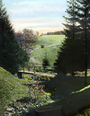 UIG F 030546