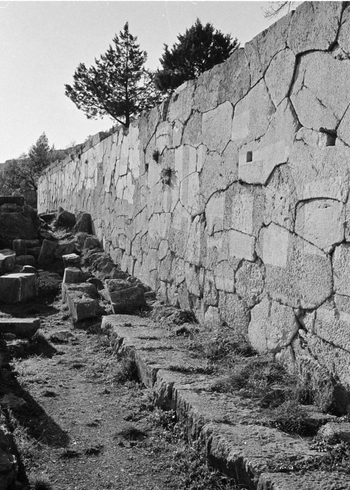 BEN F 014197