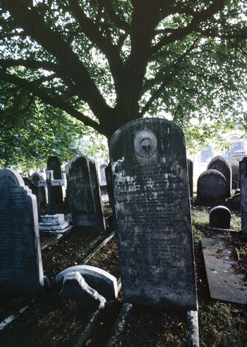 BEN F 009102
