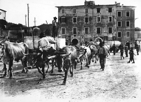 CAA F 000073 CAA F 000073