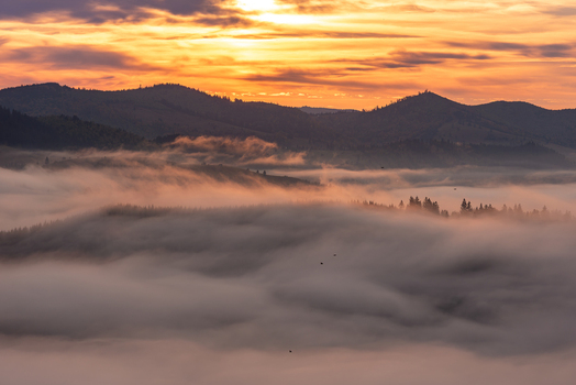 View of mountains rising above a thick layer of morning fog under a vibrant golden sunset sky in Alba Iulia Alba County Romania. View of mountains rising above a thick layer of morning fog under a vibrant golden sunset sky in Alba Iulia Alba County Romania.