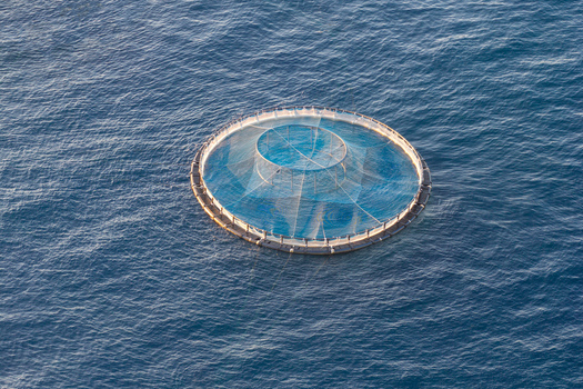 Aerial view of a circular aquaculture fish farm cage floating in the deep blue sea off the coast of Antibes Provence Alpes Cote d Azur France. Aerial view of a circular aquaculture fish farm cage floating in the deep blue sea off the coast of Antibes Provence Alpes Cote d Azur France.