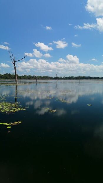 Aerial view of a calm lake in Krong Siem Reap Cambodia. Aerial view of a calm lake in Krong Siem Reap Cambodia.