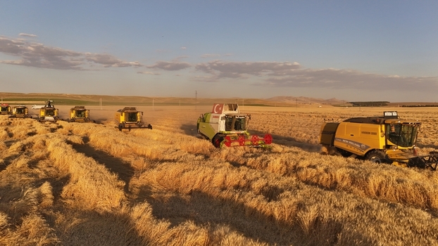 Kadinhani Turkiye 24 September 2026 Aerial view of multiple combine harvesters working in a vast golden wheat field during the harvest season under a clear sky. Kadinhani Turkiye 24 September 2026 Aerial view of multiple combine harvesters working in a vast golden wheat field during the harvest season under a clear sky.