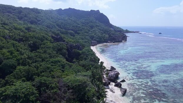 Aerial view of Anse Reunion beach in La Digue Seychelles.