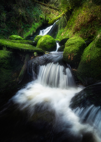 View of a small waterfall flowing over mossy green boulders along the Wicklow Way in a lush forest County Wicklow Ireland. View of a small waterfall flowing over mossy green boulders along the Wicklow Way in a lush forest County Wicklow Ireland.