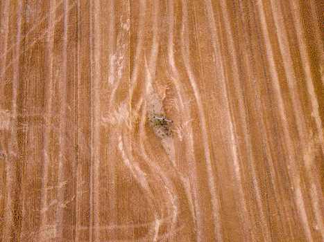 Aerial view of a freshly harvested golden wheat field with distinct tractor tracks and a small patch of vegetation in Looe Cornwall United Kingdom. Aerial view of a freshly harvested golden wheat field with distinct tractor tracks and a small patch of vegetation in Looe Cornwall United Kingdom.