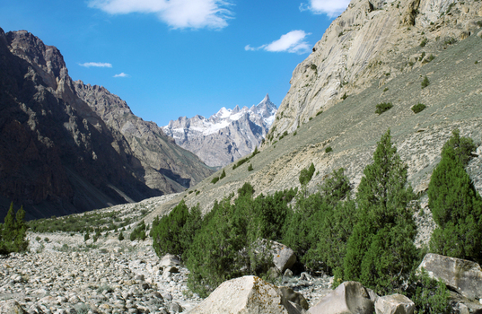 View of the rugged mountain landscape along the K2 trek in Hushe featuring a rocky valley floor scattered juniper trees and snow capped peaks in Hushe Pakistan. View of the rugged mountain landscape along the K2 trek in Hushe featuring a rocky valley floor scattered juniper trees and snow capped peaks in Hushe Pakistan.