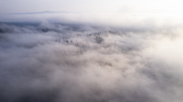 Aerial view of the dense forest landscape of Vernarske Chvalabohu shrouded in thick morning fog with treetops emerging through the mist in Vernar Presovsky kraj Slovakia. Aerial view of the dense forest landscape of Vernarske Chvalabohu shrouded in thick morning fog with treetops emerging through the mist in Vernar Presovsky kraj Slovakia.
