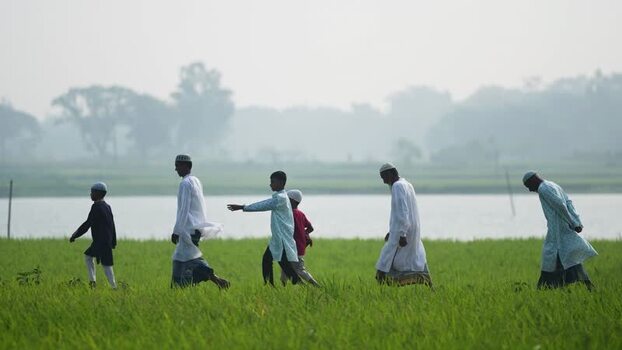 View of men and boys walking through a green field Bangladesh. View of men and boys walking through a green field Bangladesh.