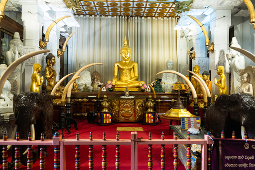 View of the ornate interior of the Temple of the Sacred Tooth Relic featuring a golden Buddha statue surrounded by ivory tusks and white sculptures Kandy Central Province Sri Lanka. View of the ornate interior of the Temple of the Sacred Tooth Relic featuring a golden Buddha statue surrounded by ivory tusks and white sculptures Kandy Central Province Sri Lanka.