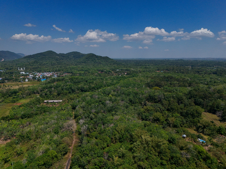 Aerial view of lush green tropical forest and rolling hills with a small village nestled in the landscape under a clear blue sky in Indonesia. Aerial view of lush green tropical forest and rolling hills with a small village nestled in the landscape under a clear blue sky in Indonesia.
