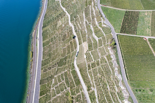 Aerial view of the terraced vineyards of Vignoble du Lavaux along the shores of Lake Geneva with a railway line and road in Rivaz Vaud Switzerland.