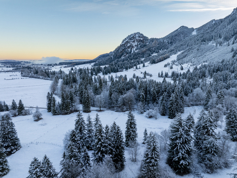 Aerial view of a snow laden forest and mountains the crisp white landscape contrasting with the deep greens of the trees Schwangau Bayern Germany.