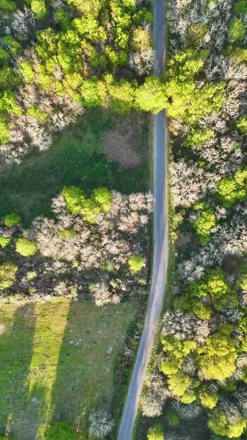 Aerial view of a winding road through a lush forest in Spain. Aerial view of a winding road through a lush forest in Spain.