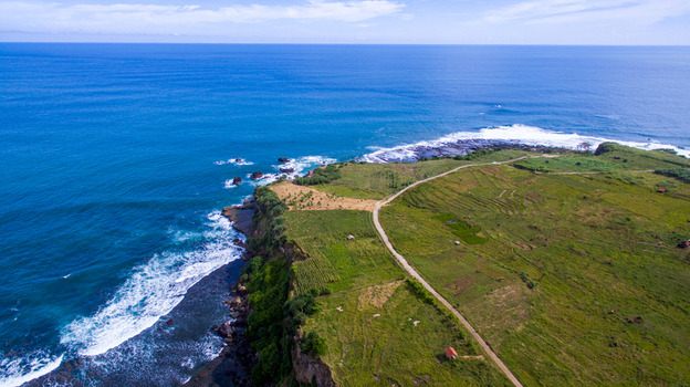 Aerial view of lush green fields and a winding dirt road along rugged coastal cliffs with waves crashing against the shore in Indonesia.
