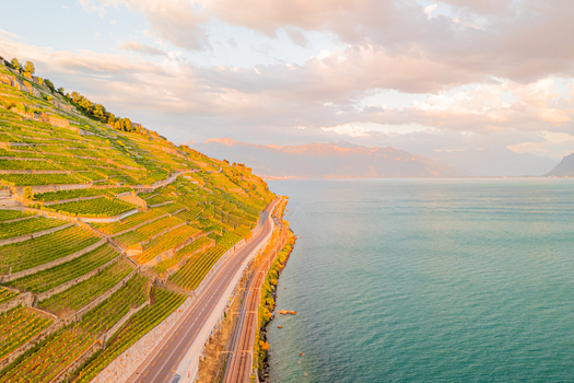 Aerial view of the terraced vineyards of Lavaux bathed in golden hour light with a road and railway line running along the shore of Lake Geneva in Bourg en Lavaux Vaud Switzerland. Aerial view of the terraced vineyards of Lavaux bathed in golden hour light with a road and railway line running along the shore of Lake Geneva in Bourg en Lavaux Vaud Switzerland.