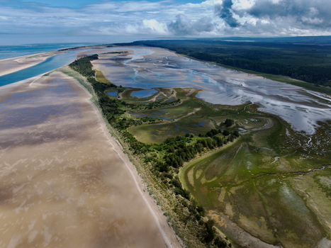 Aerial view of Moray Firth Coast showing tidal flats winding channels and sandy beaches along the coastline in Nairn Scotland United Kingdom.