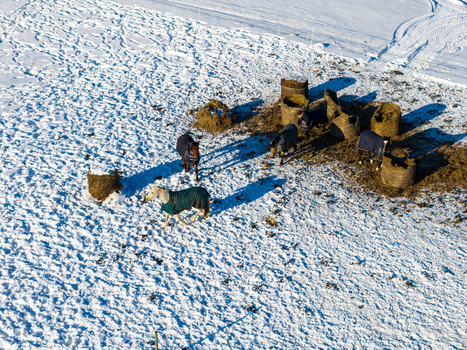 Aerial view of horses wearing blankets in a snowy paddock with hay feeders and long shadows Lithuania.