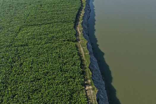 Aerial view of lush green agricultural fields bordering a river with a steep dark soil bank in Joypurhat Rajshahi Division Bangladesh. Aerial view of lush green agricultural fields bordering a river with a steep dark soil bank in Joypurhat Rajshahi Division Bangladesh.