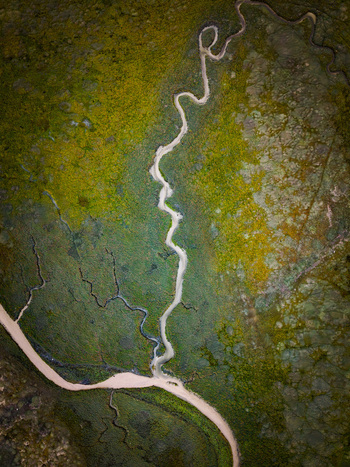 Aerial view of the winding tidal creek of Havre de Geffosses flowing through the lush green marshlands of Geffosses Normandy France.
