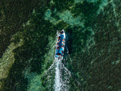 Aerial view of a small boat carrying passengers across clear shallow waters with vibrant seaweed beds in Kecamatan Denpasar Selatan Bali Indonesia.