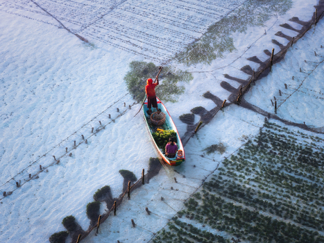 Aerial view of a slender boat gliding through seaweed farms its colorful cargo a vibrant contrast against the muted aquamarine of the water Lembongan Bali Indonesia. Aerial view of a slender boat gliding through seaweed farms its colorful cargo a vibrant contrast against the muted aquamarine of the water Lembongan Bali Indonesia.
