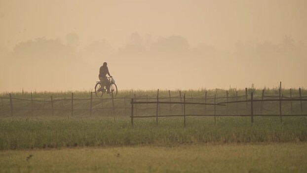 View of a person riding a bicycle through a misty field Bangladesh.