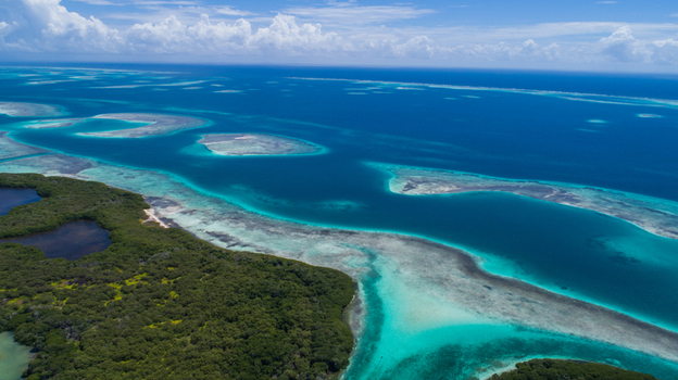 Aerial view of Los Roques archipelago featuring lush mangrove forests vibrant turquoise coral reefs and deep blue Caribbean waters in Los Roques Dependencias Federales Venezuela. Aerial view of Los Roques archipelago featuring lush mangrove forests vibrant turquoise coral reefs and deep blue Caribbean waters in Los Roques Dependencias Federales Venezuela.