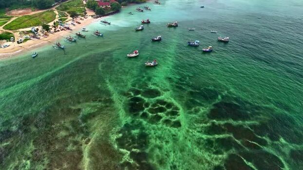 Aerial view of fishing boats in a coastal bay Sri Lanka.