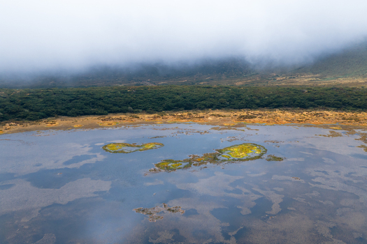 Aerial view of Caldeira Branca featuring a calm lake with small islands and dense green vegetation under a thick layer of mist in Faja Grande Azores Portugal. Aerial view of Caldeira Branca featuring a calm lake with small islands and dense green vegetation under a thick layer of mist in Faja Grande Azores Portugal.