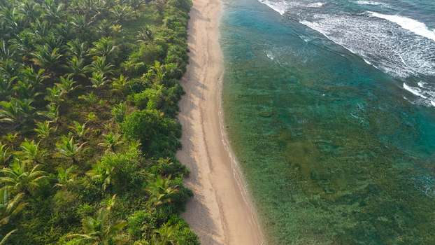 Aerial view of a tropical beach bordered by a dense palm tree forest and clear turquoise waters in Indonesia. Aerial view of a tropical beach bordered by a dense palm tree forest and clear turquoise waters in Indonesia.