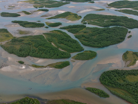 Aerial view of the braided river system with lush green islands and sandy riverbeds formed by glacial melt in Skonseng Nordland Norway. Aerial view of the braided river system with lush green islands and sandy riverbeds formed by glacial melt in Skonseng Nordland Norway.